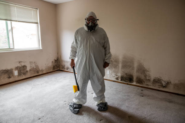 Crawl Space Mold Removal in Philadelphia, PA